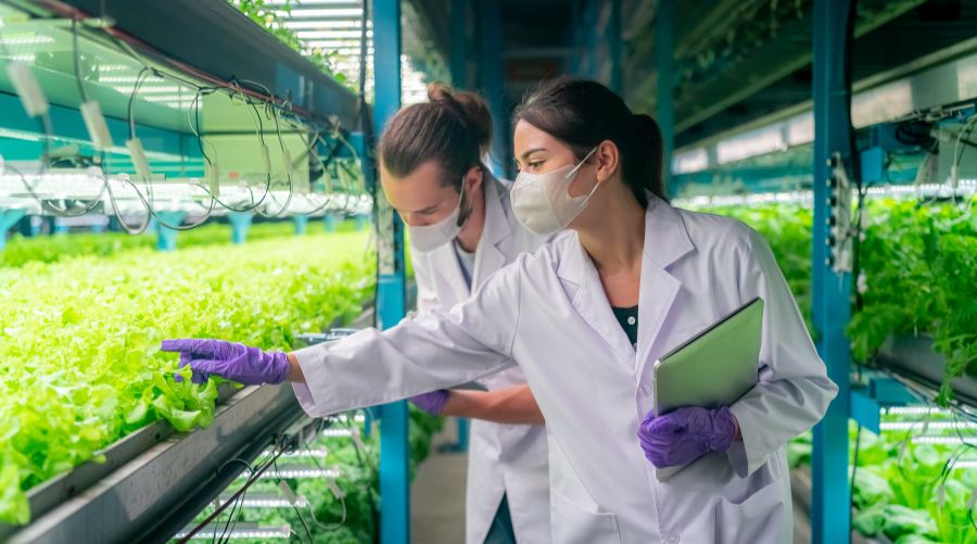 Innovación en técnicas de biocontrol