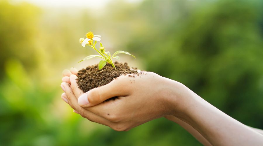 cultivos en entornos extremos