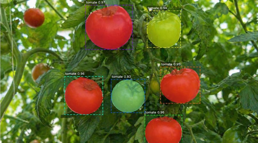 Visión artificial en agricultura